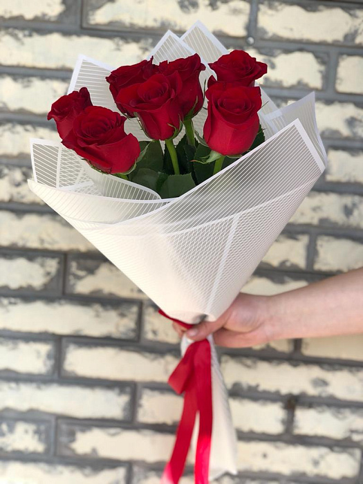 Artdi Red