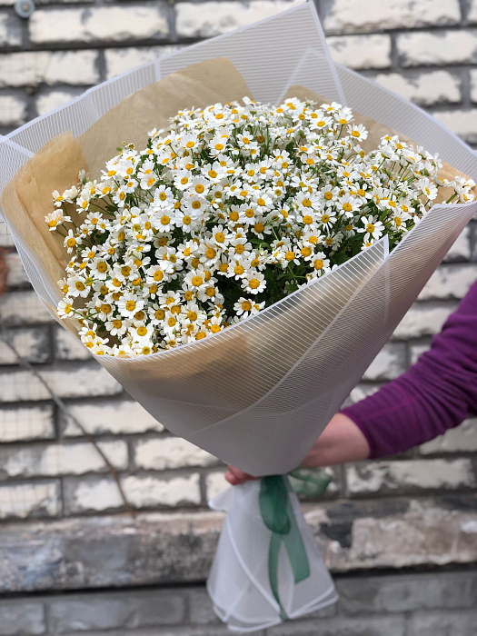 Букет из ромашек